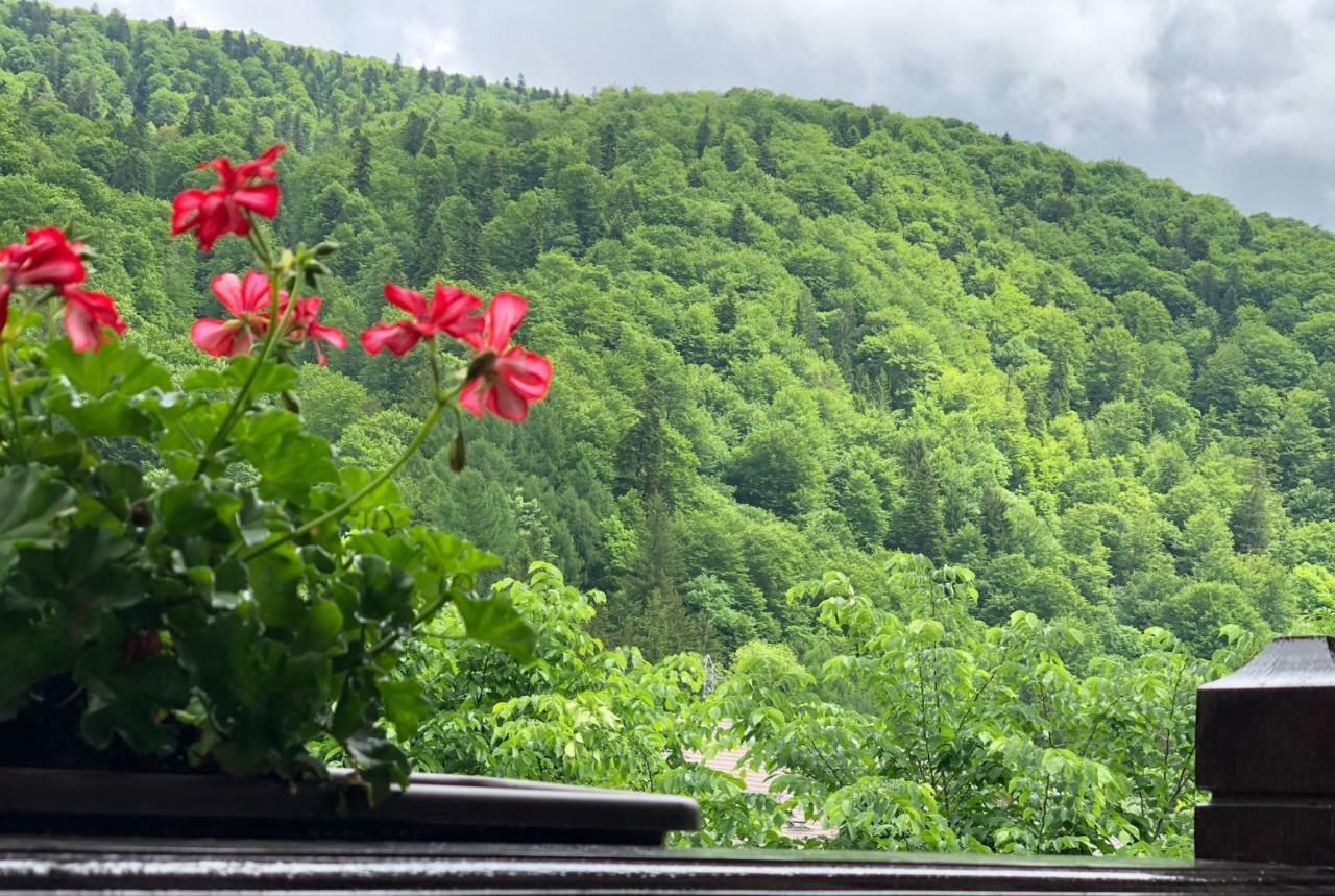 Chez Marcel Homestay